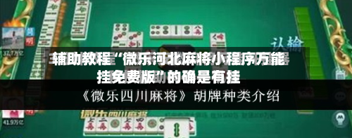 辅助教程“微乐河北麻将小程序万能挂免费版”的确是有挂-第3张图片