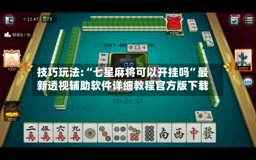 技巧玩法:“七星麻将可以开挂吗”最新透视辅助软件详细教程官方版下载-第2张图片
