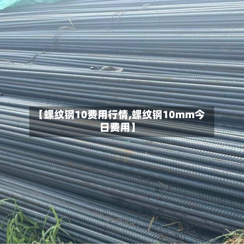 【螺纹钢10费用行情,螺纹钢10mm今日费用】