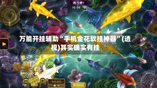 万能开挂辅助“手机金花软挂神器”(透视)其实确实有挂-第2张图片