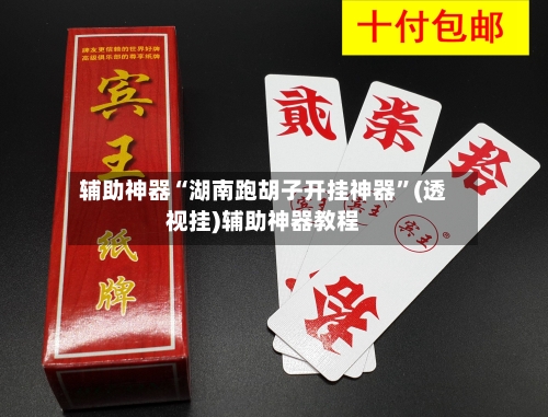 辅助神器“湖南跑胡子开挂神器”(透视挂)辅助神器教程-第2张图片