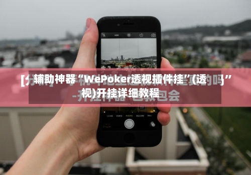 辅助神器“WePoker透视插件挂”(透视)开挂详细教程-第3张图片