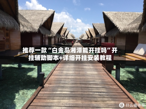 推荐一款“白金岛湘潭能开挂吗”开挂辅助脚本+详细开挂安装教程-第2张图片