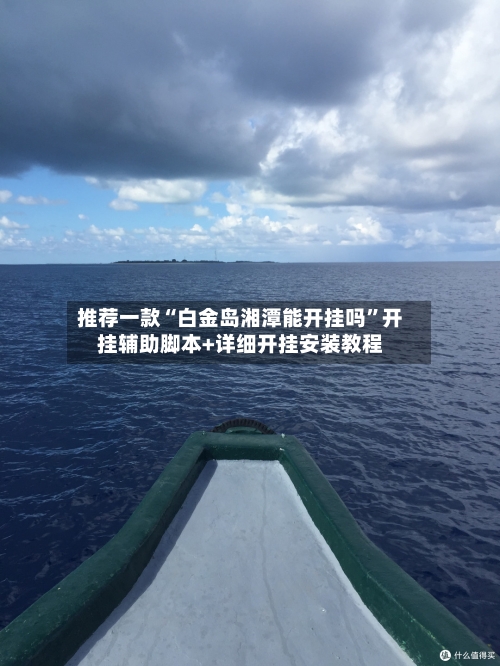 推荐一款“白金岛湘潭能开挂吗”开挂辅助脚本+详细开挂安装教程-第3张图片