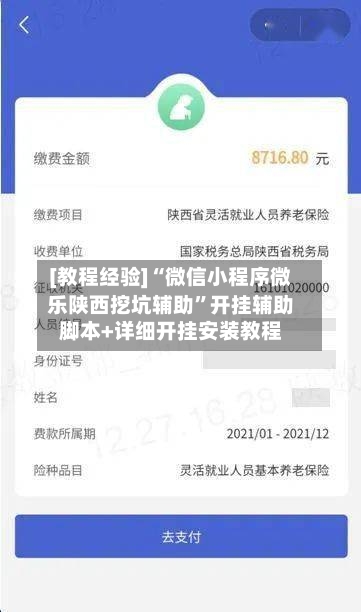 [教程经验]“微信小程序微乐陕西挖坑辅助”开挂辅助脚本+详细开挂安装教程-第2张图片