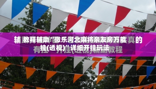 教程辅助“微乐河北麻将亲友房万能挂(透视)”详细开挂玩法-第2张图片