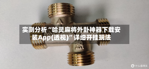 实测分析“哈灵麻将外卦神器下载安装App(透视)	”详细开挂玩法-第2张图片