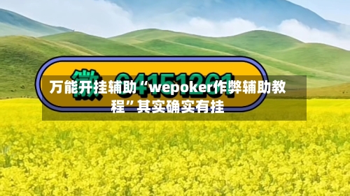 万能开挂辅助“wepoker作弊辅助教程	”其实确实有挂-第2张图片