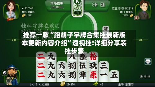 推荐一款“跑胡子字牌合集挂最新版本更新内容介绍”透视挂!详细分享装挂步骤-第3张图片