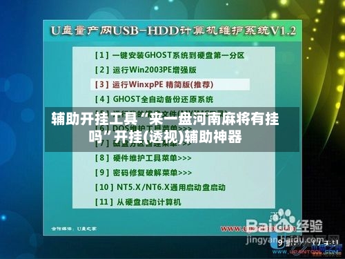 辅助开挂工具“来一盘河南麻将有挂吗”开挂(透视)辅助神器-第2张图片