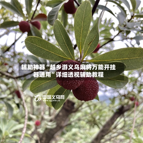 辅助神器“越乡游义乌麻将万能开挂器通用”详细透视辅助教程-第2张图片