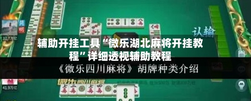 辅助开挂工具“微乐湖北麻将开挂教程”详细透视辅助教程-第2张图片