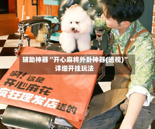 辅助神器“开心麻将外卦神器(透视)”详细开挂玩法
