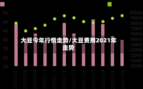 大豆今年行情走势/大豆费用2021年走势-第2张图片