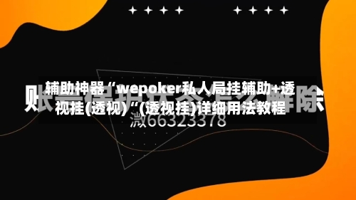 辅助神器“wepoker私人局挂辅助+透视挂(透视)“(透视挂)详细用法教程-第3张图片