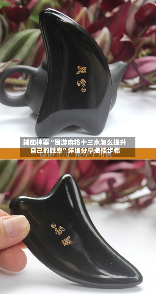 辅助神器“闽游麻将十三水怎么提升自己的胜率”详细分享装挂步骤-第3张图片