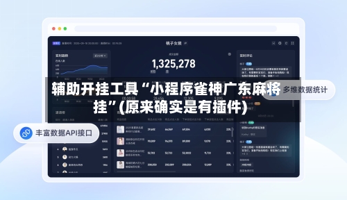 辅助开挂工具“小程序雀神广东麻将挂	”(原来确实是有插件)-第3张图片