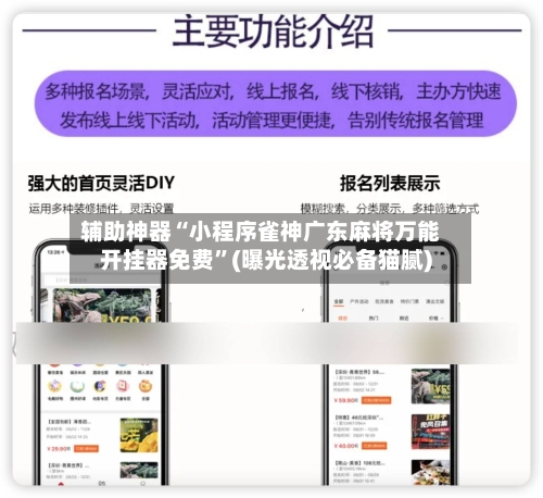 辅助神器“小程序雀神广东麻将万能开挂器免费”(曝光透视必备猫腻)-第2张图片