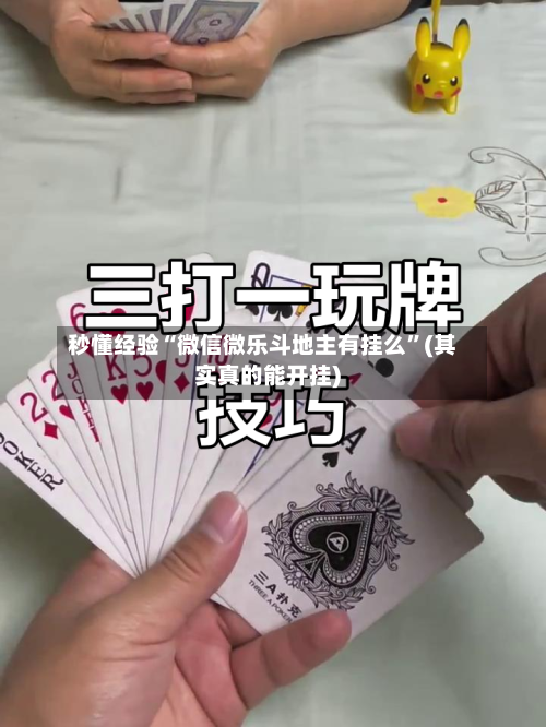 秒懂经验“微信微乐斗地主有挂么”(其实真的能开挂)-第2张图片