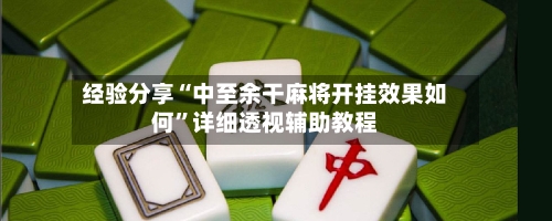 经验分享“中至余干麻将开挂效果如何”详细透视辅助教程-第3张图片