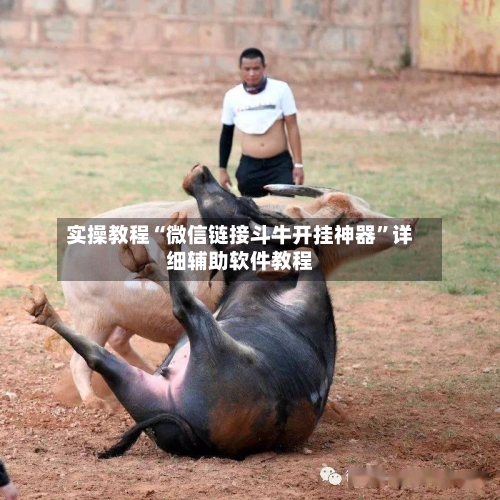 实操教程“微信链接斗牛开挂神器”详细辅助软件教程-第2张图片