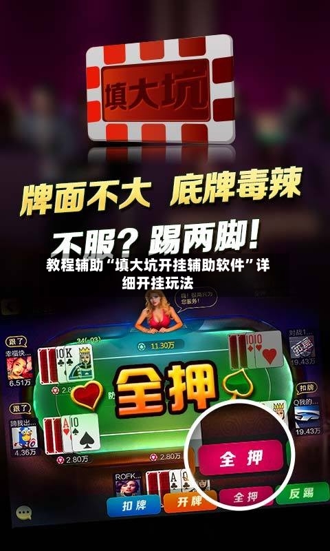 教程辅助“填大坑开挂辅助软件	”详细开挂玩法-第2张图片
