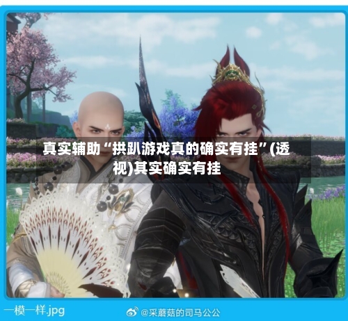 真实辅助“拱趴游戏真的确实有挂”(透视)其实确实有挂-第2张图片