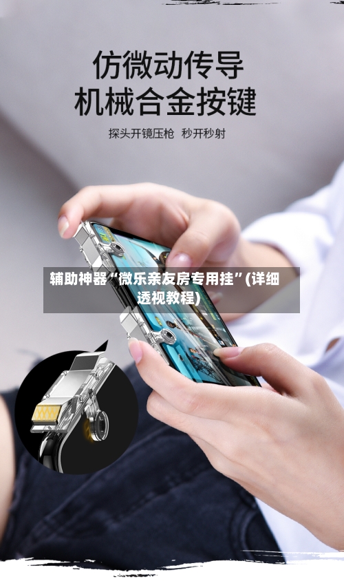 辅助神器“微乐亲友房专用挂”(详细透视教程)-第2张图片