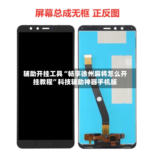 辅助开挂工具“畅享徐州麻将怎么开挂教程	”科技辅助神器手机版-第2张图片