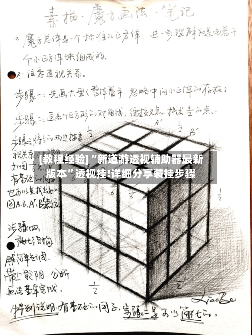 [教程经验]“新道游透视辅助器最新版本”透视挂!详细分享装挂步骤-第2张图片