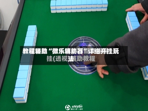 教程辅助“微乐辅助器	”详细开挂玩法-第2张图片