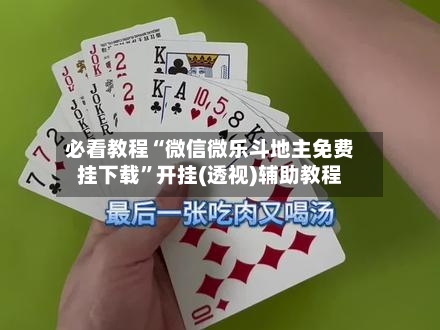 必看教程“微信微乐斗地主免费挂下载	”开挂(透视)辅助教程-第2张图片