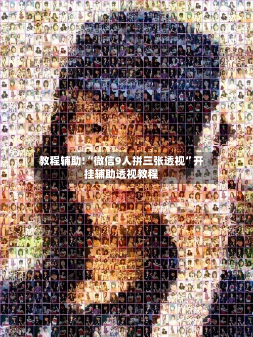 教程辅助!“微信9人拼三张透视”开挂辅助透视教程-第3张图片