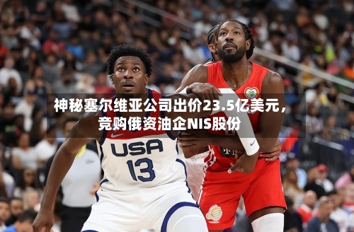 神秘塞尔维亚公司出价23.5亿美元，竞购俄资油企NIS股份