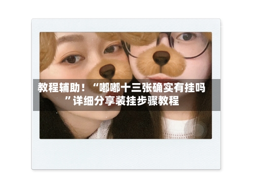 教程辅助！“嘟嘟十三张确实有挂吗”详细分享装挂步骤教程-第2张图片
