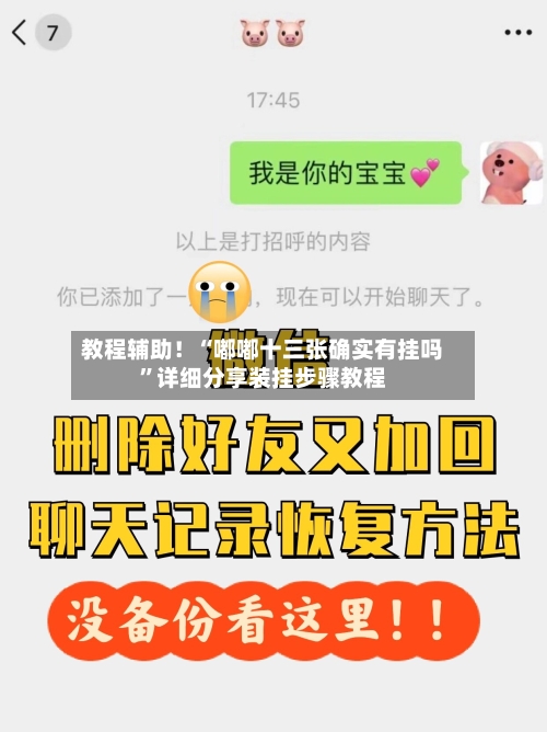 教程辅助！“嘟嘟十三张确实有挂吗	”详细分享装挂步骤教程-第3张图片
