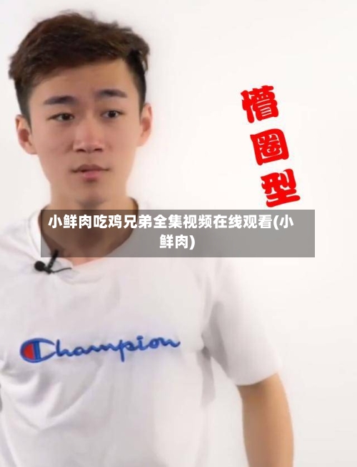 小鲜肉吃鸡兄弟全集视频在线观看(小 鲜肉)-第2张图片