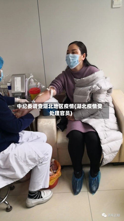 中纪委调查湖北地区疫情(湖北疫情受处理官员)-第3张图片