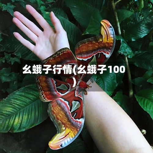 幺蛾子行情(幺蛾子100)