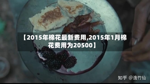 【2015年棉花最新费用,2015年1月棉花费用为20500】-第2张图片