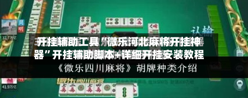 开挂辅助工具“微乐河北麻将开挂神器”开挂辅助脚本+详细开挂安装教程-第3张图片
