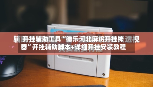 开挂辅助工具“微乐河北麻将开挂神器”开挂辅助脚本+详细开挂安装教程-第2张图片