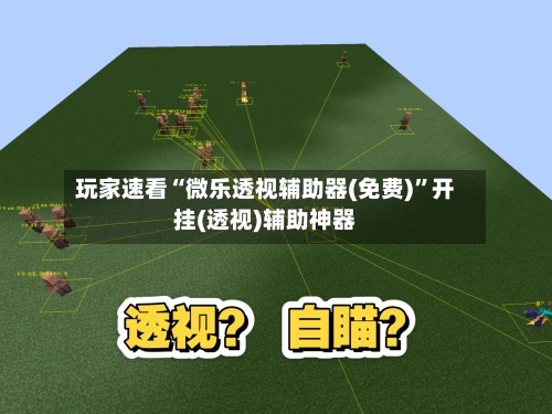 玩家速看“微乐透视辅助器(免费)”开挂(透视)辅助神器-第2张图片