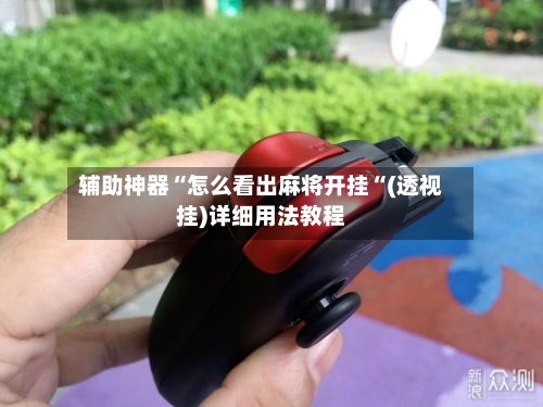 辅助神器“怎么看出麻将开挂“(透视挂)详细用法教程-第3张图片