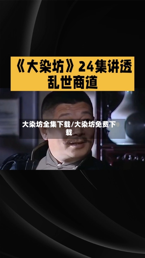 大染坊全集下载/大染坊免费下载-第2张图片