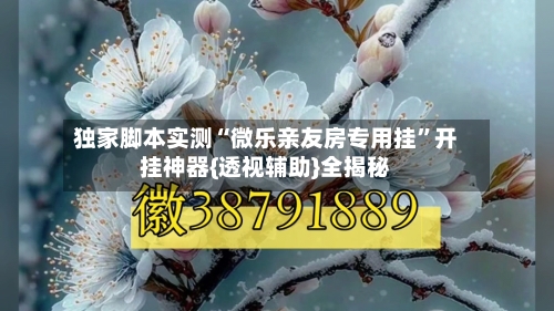 独家脚本实测“微乐亲友房专用挂”开挂神器{透视辅助}全揭秘-第2张图片