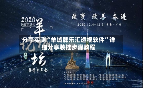 分享实测“羊城牌乐汇透视软件”详细分享装挂步骤教程-第2张图片