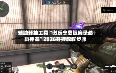 辅助开挂工具“微乐宁夏捉麻子必赢神器”2026开挂教程步骤-第2张图片