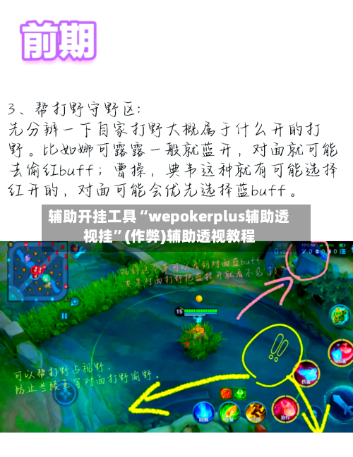 辅助开挂工具“wepokerplus辅助透视挂”(作弊)辅助透视教程-第3张图片