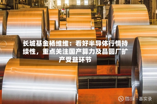 长城基金杨维维：看好半导体行情持续性，重点关注国产算力及晶圆厂扩产受益环节-第2张图片